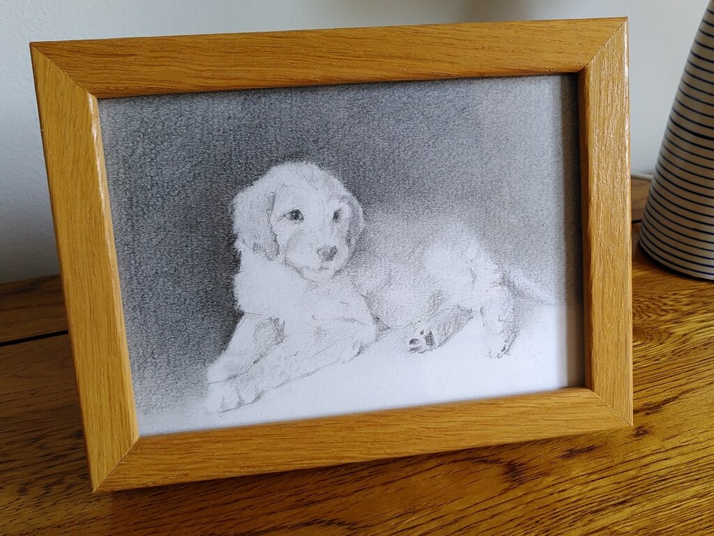 Graphite pencil drawing of a fluffy puppy.