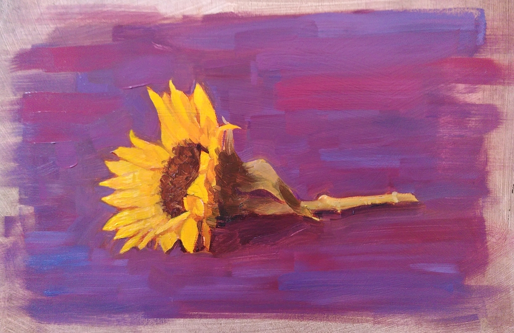 Colour painting of a sunflower, lay against a purple background.